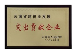 云南省建筑業發展突出貢獻企業